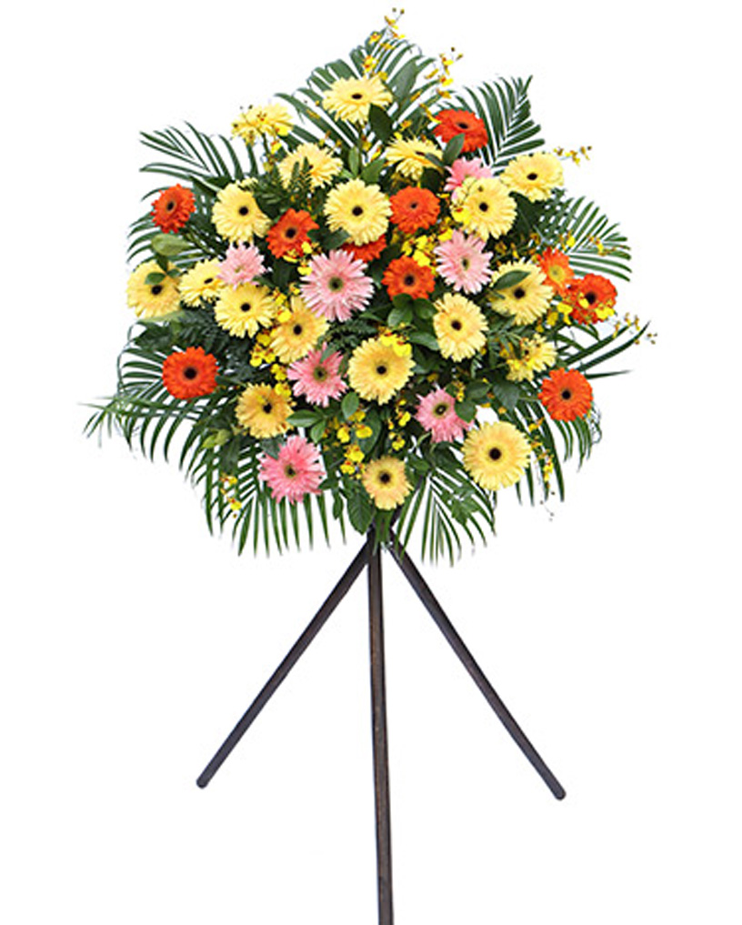开业花篮06