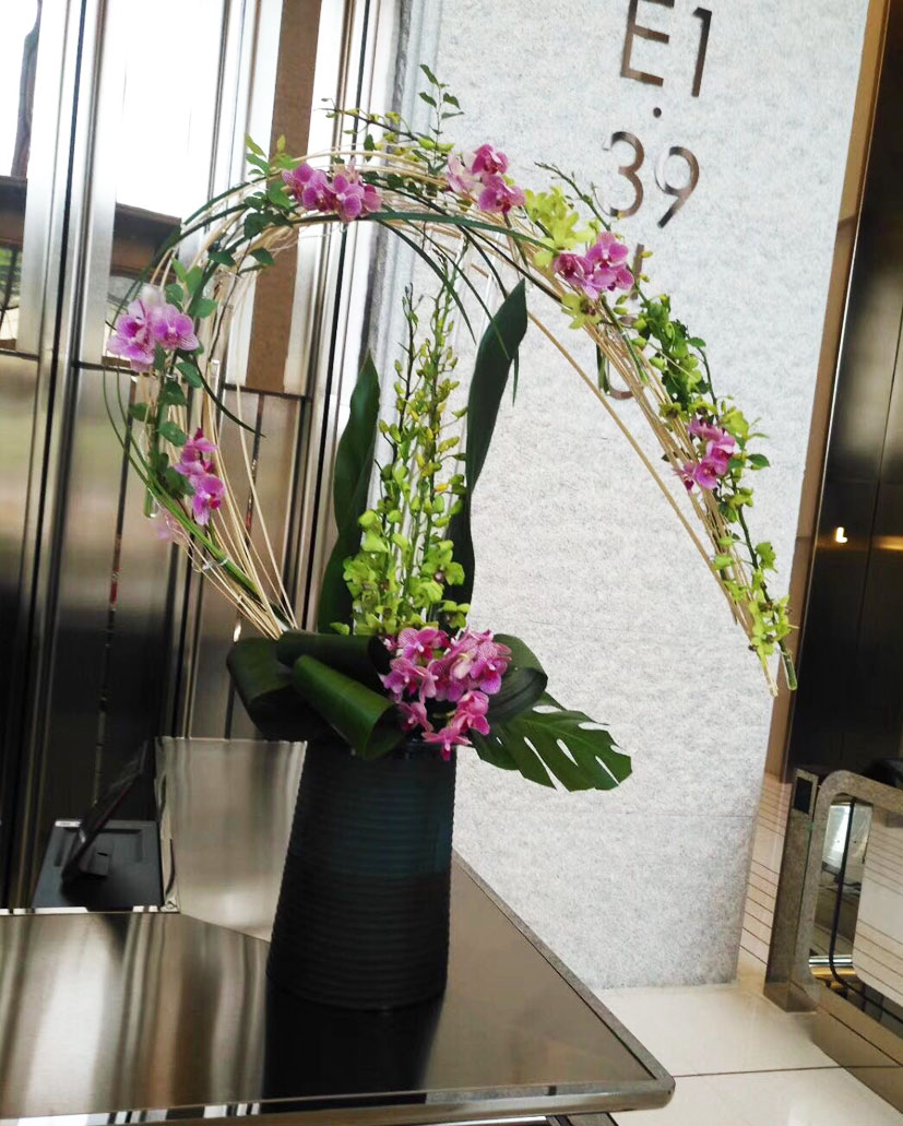 台花23