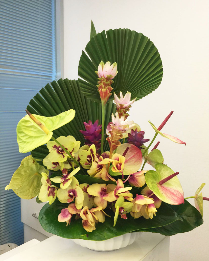 台花31