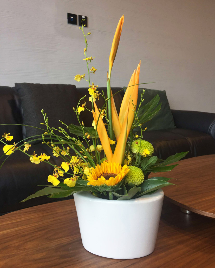 台花43