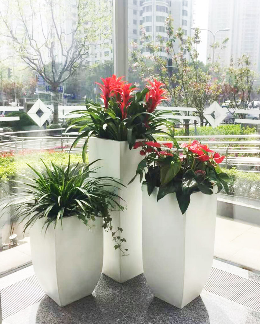 组合花卉13