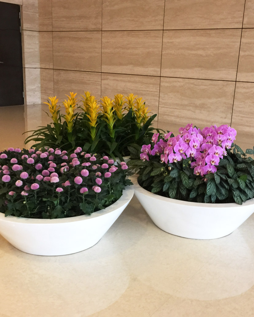 组合花卉40