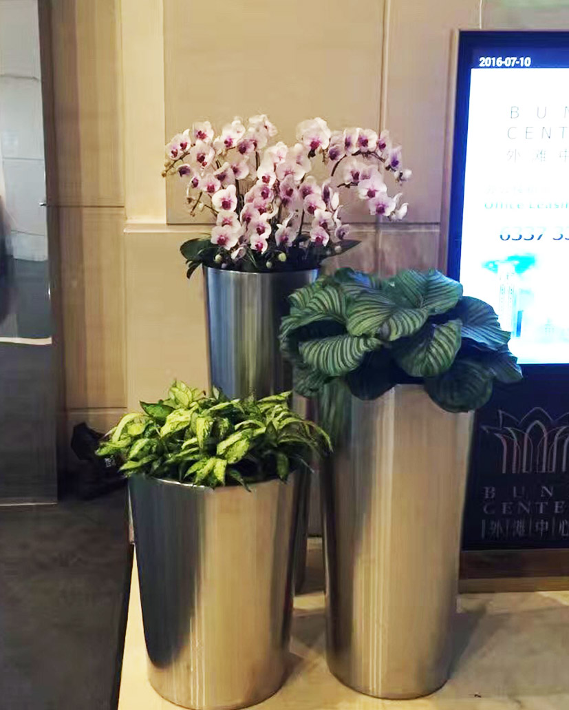 组合花卉41