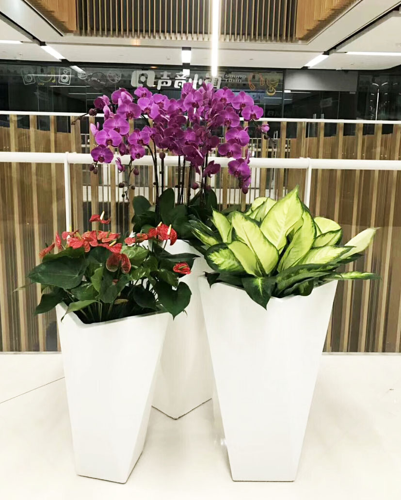 组合花卉44