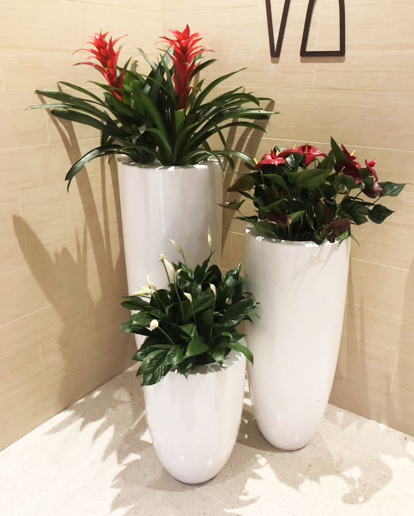 组合花卉50