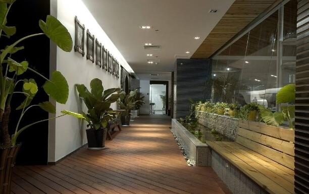 绿植租赁公司为您解答办公室放一些绿植有什么好处